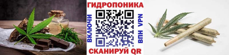 Купить где  Кинель  Canna-Cookies конопля 