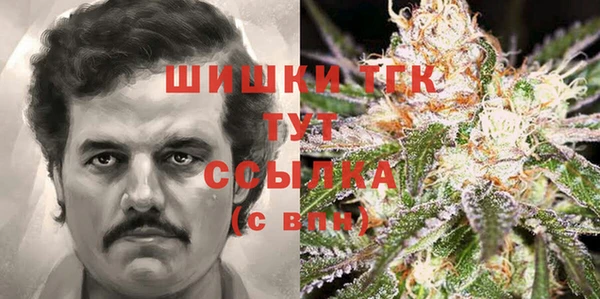 дмт Новодвинск