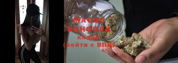 дмт Новодвинск