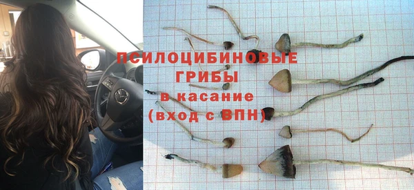 дмт Новодвинск