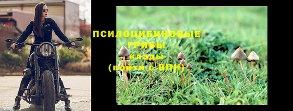 соль курить ск Няндома