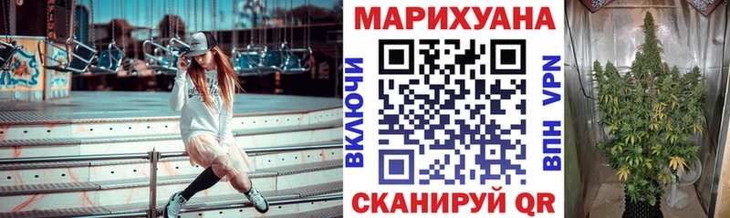 Каннабис планчик Кинель
